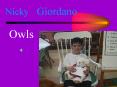 Owls PowerPoint PPT Presentation