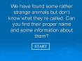 We have found some rather strange animals but dont know what theyre called' Can you find their prope PowerPoint PPT Presentation