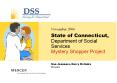 State of Connecticut, Department of Social Services Mystery Shopper Project PowerPoint PPT Presentation