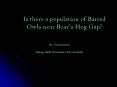 Is there a population of Barred Owls near Boars Hog Gap PowerPoint PPT Presentation