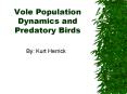 Vole Population Dynamics and Predatory Birds PowerPoint PPT Presentation