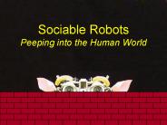 Sociable Robots