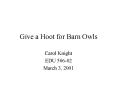 Give a Hoot for Barn Owls PowerPoint PPT Presentation