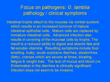 Focus on pathogens: G' lamblia pathology clinical symptoms