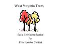West Virginia Trees PowerPoint PPT Presentation