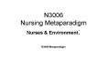 N3006 Nursing Metaparadigm Nurses PowerPoint PPT Presentation