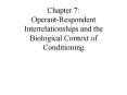 Chapter 7: OperantRespondent Interrelationships and the Biological Context of Conditioning PowerPoint PPT Presentation