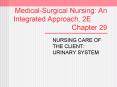 MedicalSurgical Nursing: An Integrated Approach, 2E Chapter 29 PowerPoint PPT Presentation