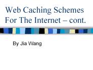 Web Caching Schemes For The Internet 