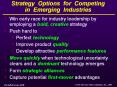 Strategy Options for Competing in Emerging Industries PowerPoint PPT Presentation