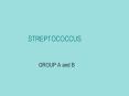 STREPTOCOCCUS PowerPoint PPT Presentation