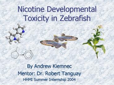 Nicotine Developmental Toxicity in Zebrafish