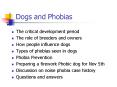 Dogs and Phobias PowerPoint PPT Presentation