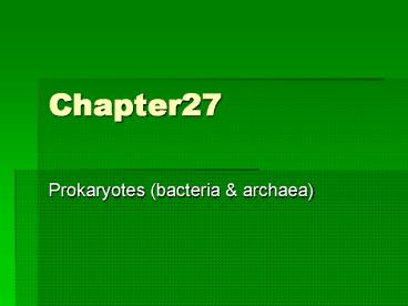 Prokaryotes bacteria