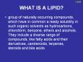 WHAT%20IS%20A%20LIPID? PowerPoint PPT Presentation