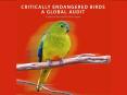 IUCN%20Red%20List%20status%20for%20(a)%20all%20birds,%20(b)%20globally%20threatened%20birds PowerPoint PPT Presentation