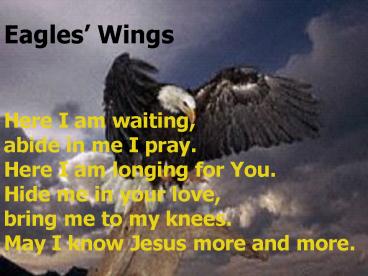 Eagles Wings