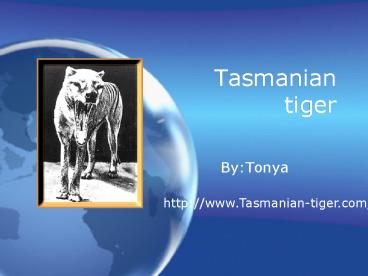 Tasmanian tiger