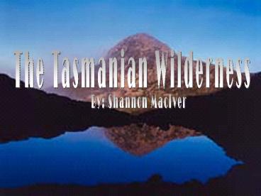 The Tasmanian Wilderness
