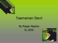 Tasmanian Devil PowerPoint PPT Presentation