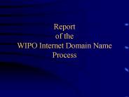 Report of the WIPO Internet Domain Name Process