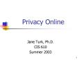Privacy Online