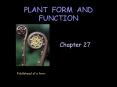 PLANT FORM AND FUNCTION PowerPoint PPT Presentation