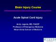 Brain Injury Course PowerPoint PPT Presentation