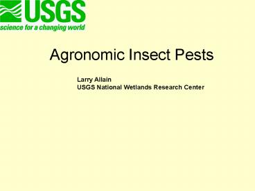 Agronomic Insect Pests
