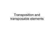 Transposition and transposable elements