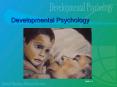 Developmental Psychology PowerPoint PPT Presentation