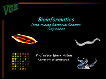 Bioinformatics Datamining Bacterial Genome Sequences