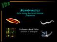 Bioinformatics Datamining Bacterial Genome Sequences PowerPoint PPT Presentation