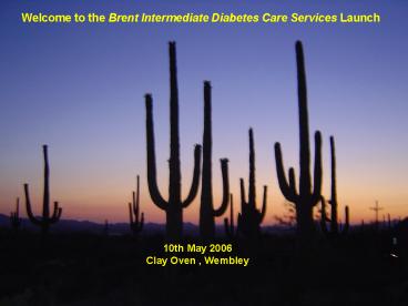 Brent Diabetes Services