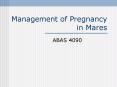 Management of Pregnancy in Mares PowerPoint PPT Presentation