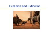 Evolution%20and%20Extinction