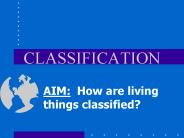 CLASSIFICATION