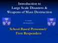 Introduction to Large Scale Disasters PowerPoint PPT Presentation