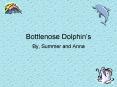 Bottlenose Dolphins PowerPoint PPT Presentation