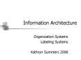 Information Architecture PowerPoint PPT Presentation