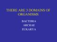 THERE ARE 3 DOMAINS OF ORGANISMS PowerPoint PPT Presentation