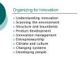 Organizing for Innovation PowerPoint PPT Presentation