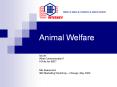 Animal Welfare PowerPoint PPT Presentation