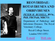REOVIRIDAE: ROTAVIRUSES AND ORBIVIRUSES