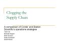 Clogging the Supply Chain PowerPoint PPT Presentation