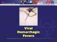 Viral Hemorrhagic Fevers PowerPoint PPT Presentation