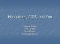 Mosquitoes, AIDS, and You PowerPoint PPT Presentation
