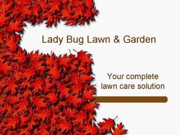 Lady Bug Lawn