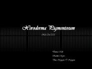 PowerPoint Presentation  -  What Causes XP?