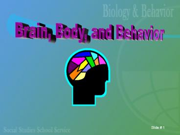 presentation player overlay